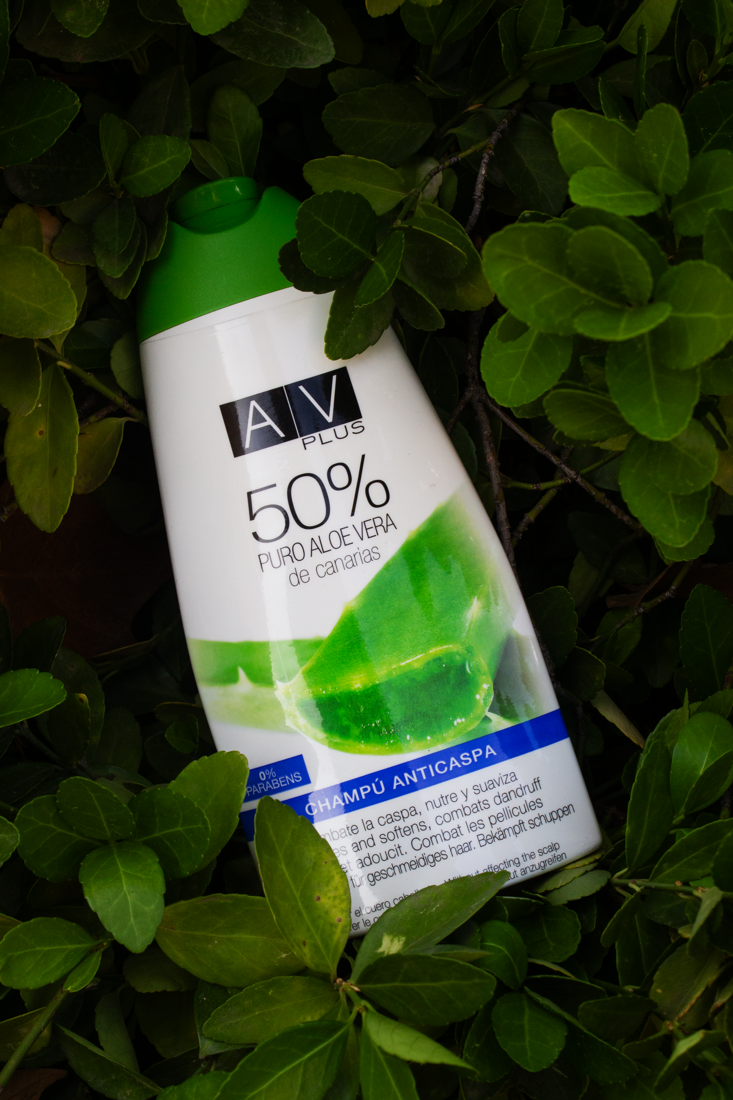 Champú Anticaspa AV PLUS 50% Aloe Vera