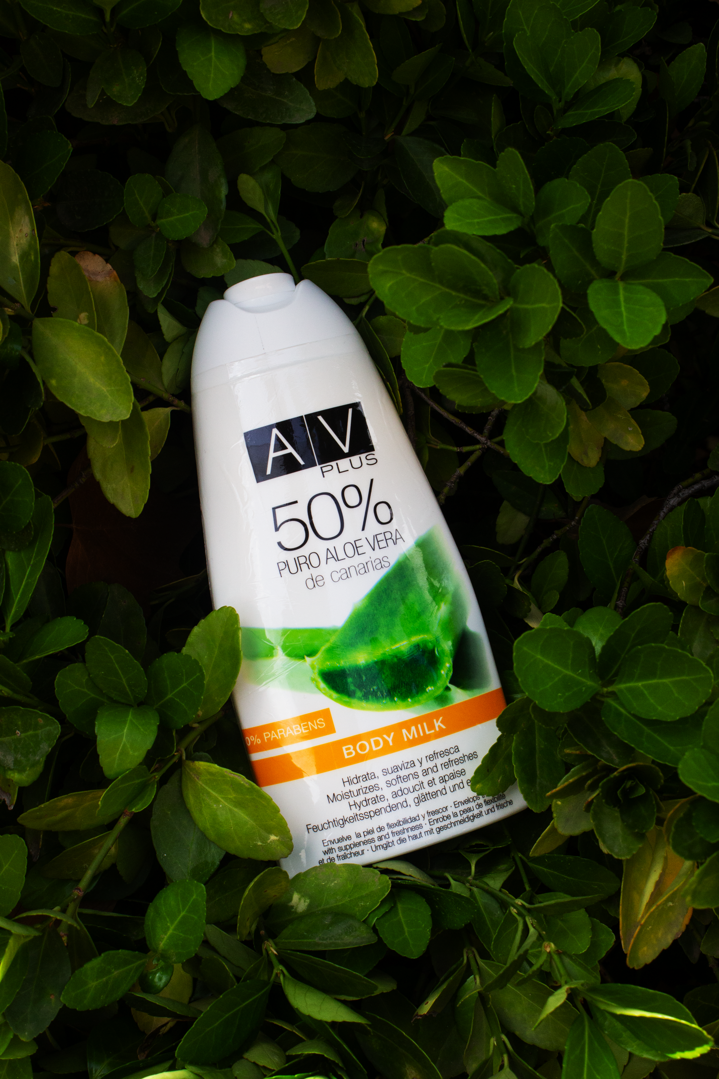 Body Milk AV PLUS 50% Aloe Vera