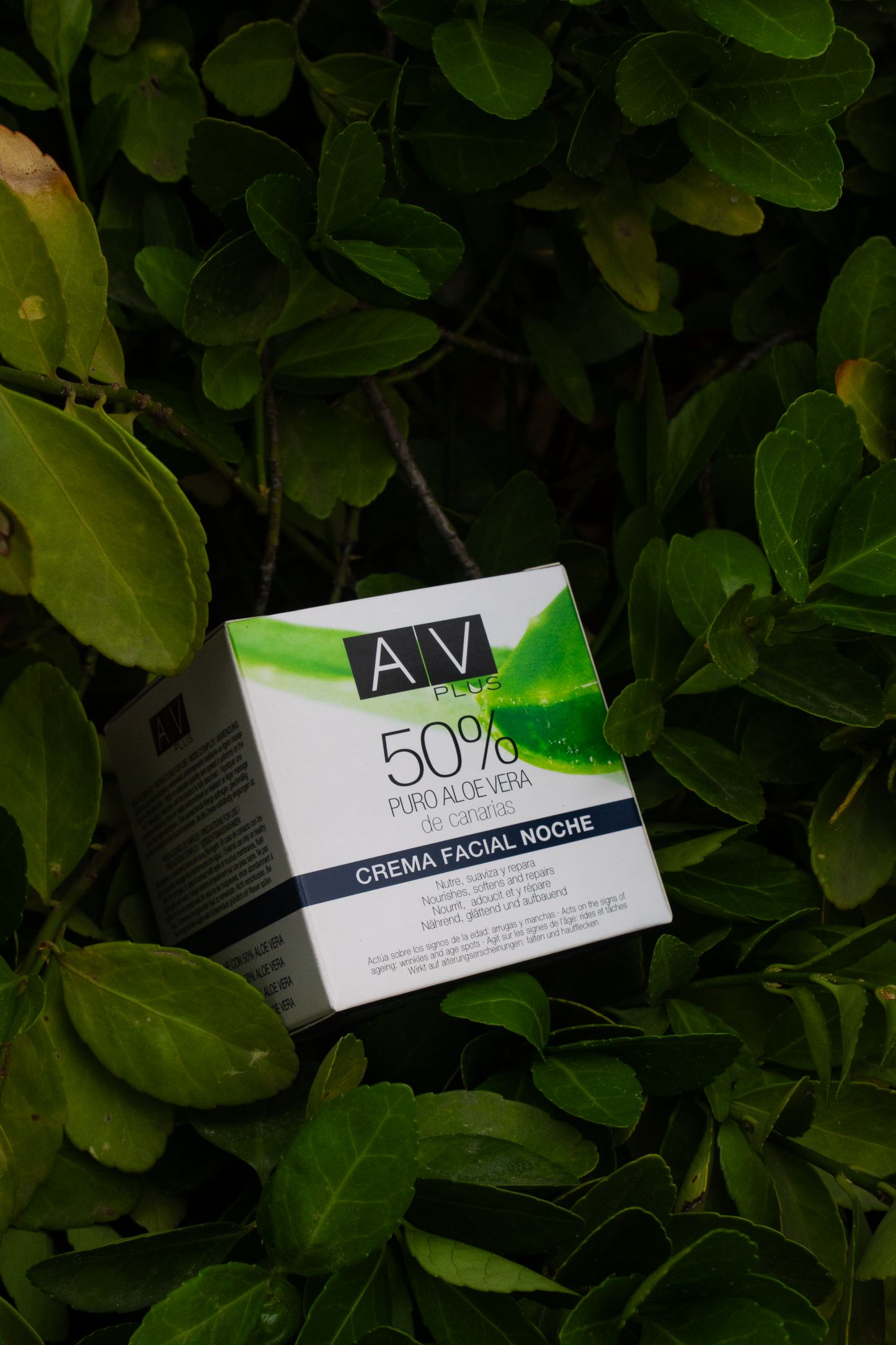 Crema de noche AV PLUS 50% Aloe Vera