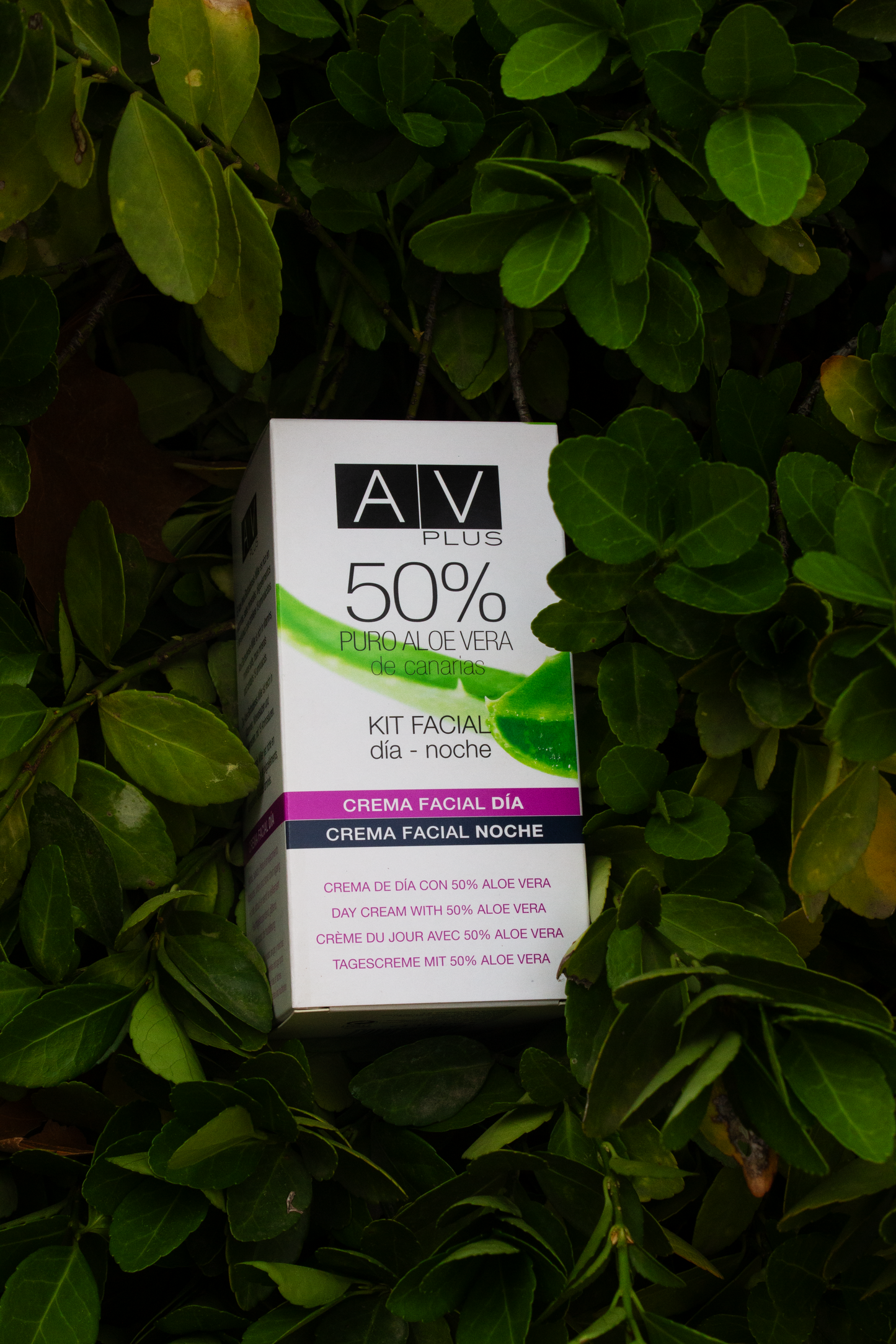 Pack dúo crema noche y crema día 50% Aloe Vera