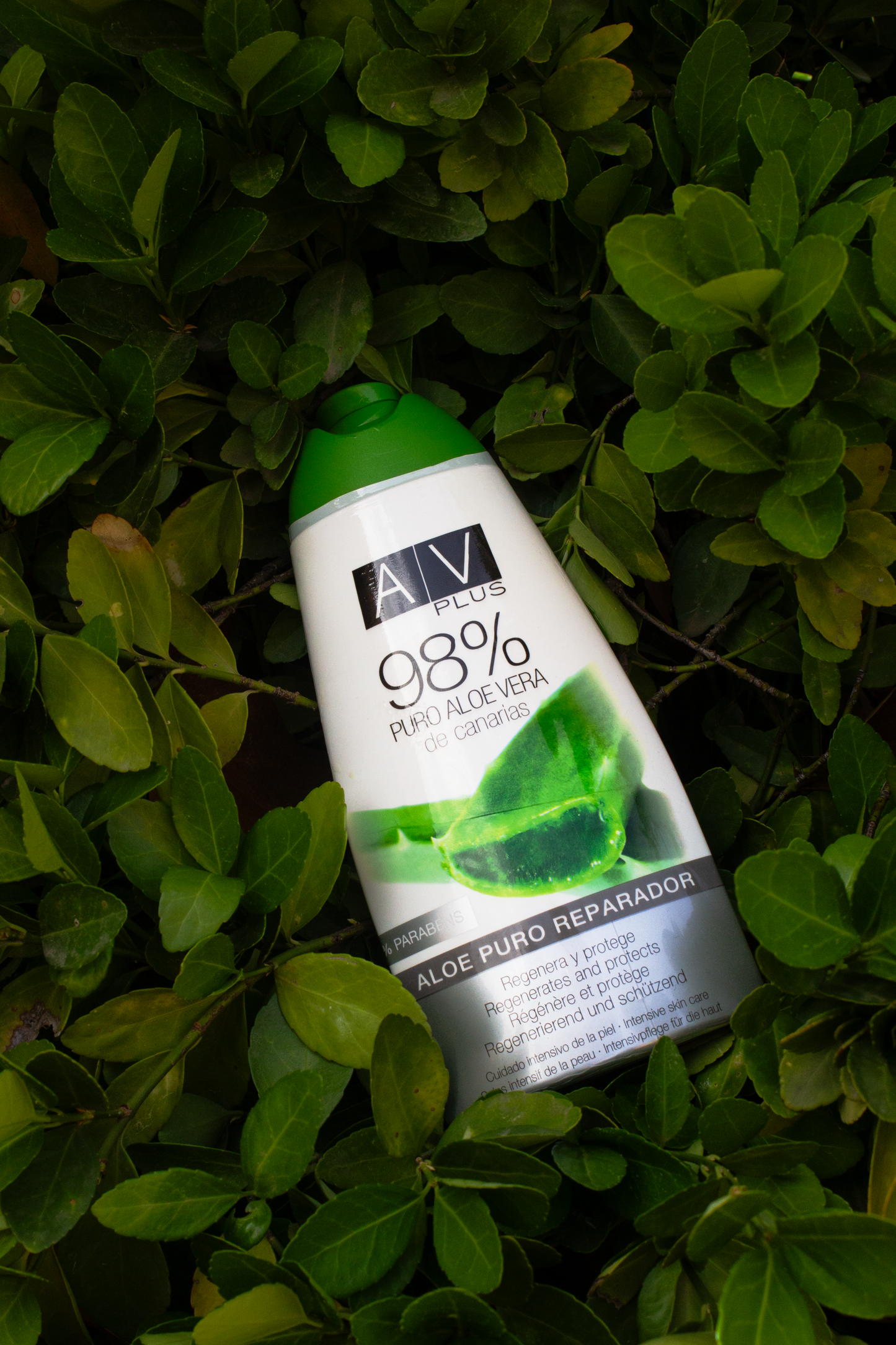 Puro Reparador AV PLUS 98% Aloe Vera