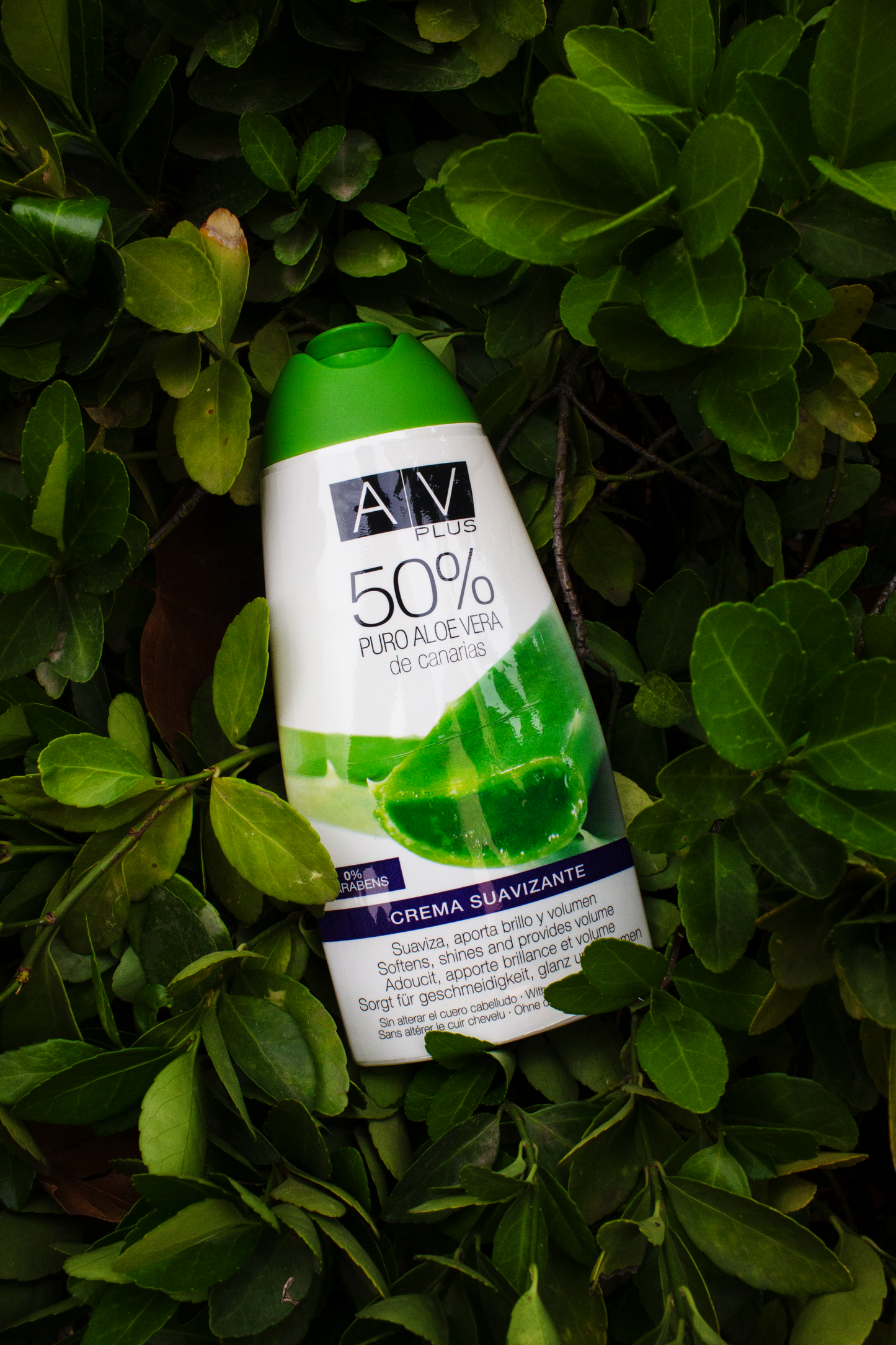 Acondicionador AV PLUS 50% Aloe Vera